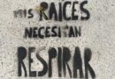 «Libérame, me asfixio»: la nueva protesta ciudadana contra los alcorques pavimentados en Córdoba.