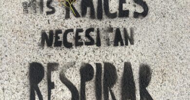 «Libérame, me asfixio»: la nueva protesta ciudadana contra los alcorques pavimentados en Córdoba.